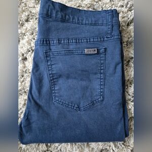 Joe's Jeans Classic Blue Jeggings